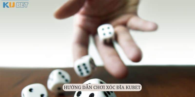 Cược thủ chia sẻ hướng dẫn các bước tham gia chơi Xóc Đĩa